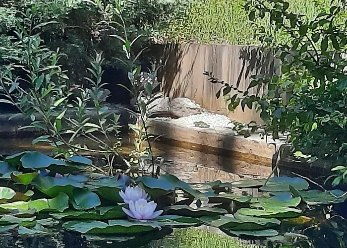 Hotel Le Clos Du Bois Joli 3*